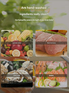 Fruit and vegetable washing machine