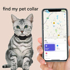 Pet positioning collar