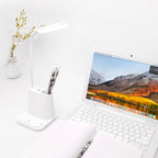 Multifunctional fan desk lamp