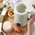 Mini soy milk machine