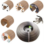 Collection of cat toys including cardboard tubes and a corrugated wheel with a cat playing.