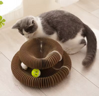 Pet Accordion Scratch Toy
